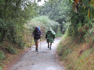 Pilgrims on the trail.
