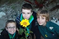 Ballintoy & Dunseverick Scouts enjoy a Sunflower Moment!