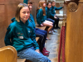 Introduction-to-orchestra-organ