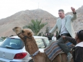 Camel%2520Jon