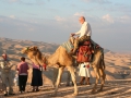 Camel%2520robert