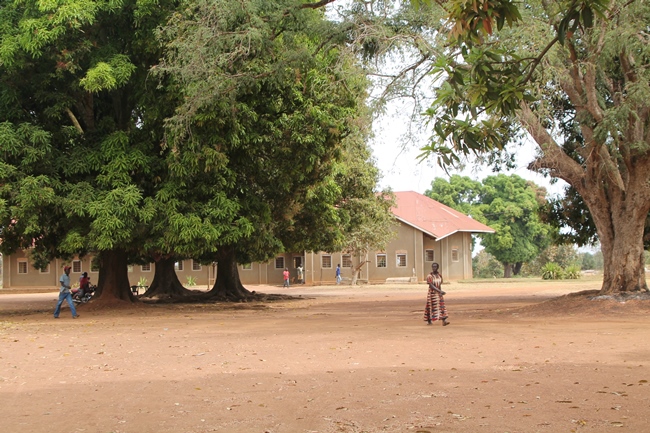 These mango trees outside Immanuel Cathedral in Yei during the Bishop of Connor's visit in January 2013 are how sheltering thousands of people displaced from their homes due to ongoing conflict in South Sudan.