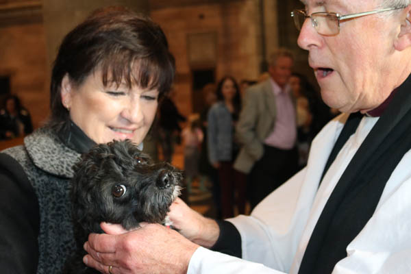 Successful Pets’ Service and Blessing at St Anne’s Cathedral