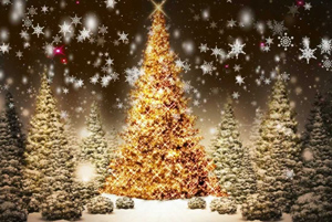 ‘Joy To the World’ Christmas Tree Festival in Greenisland