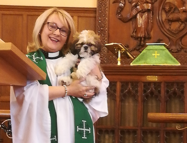 Blessing of the pets in St Matthew’s, Belfast