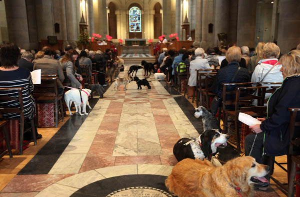 Cathedral’s Pets’ Service’ is back!