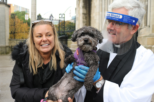 Pets on the steps at Belfast Cathedral!