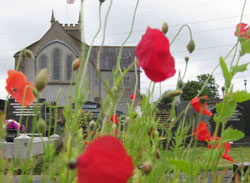 Poppies for remembrance - Magheragall Parish Church.