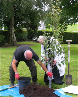 The Rev Dr Ron Elsdon plants the new pear tree. 