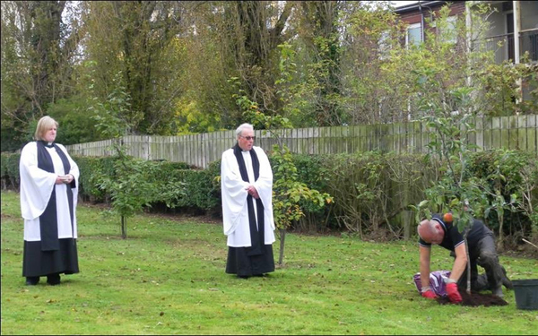 The Rev Arlene Moore and the Rev Dr Ron Elsdon look on as Alan Jones, Rector's Glebewarden, plants the apple tree on Climate Sunday in Rathcoole.