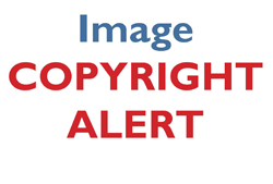 Copyright infringement and Libya Appeal (September 2023)