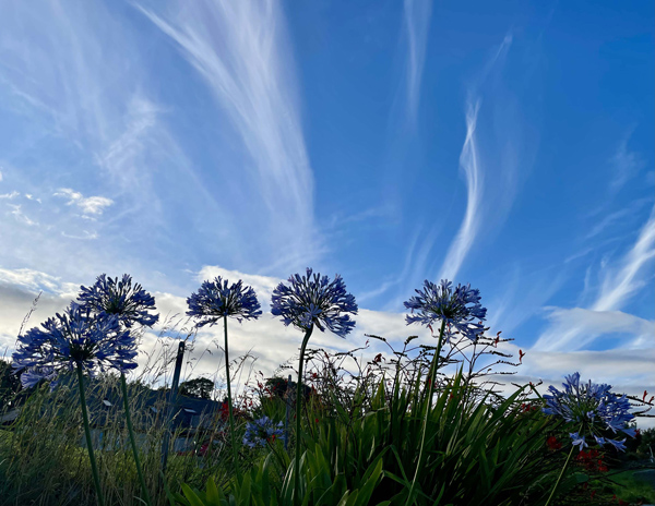 European church leaders promote Season of Creation