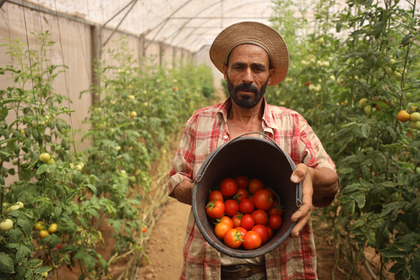 Gaza famine: Christian Aid responds to humanitarian catastrophe
