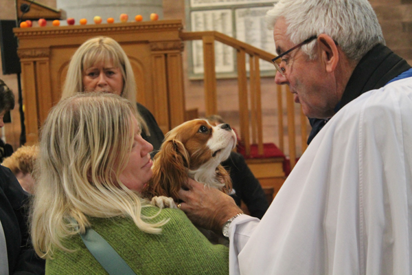 Doggies flock to Belfast Cathedral for pet blessing service