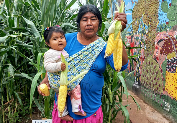 ‘Seeds of Hope’ – Connor Diocesan Lent Project